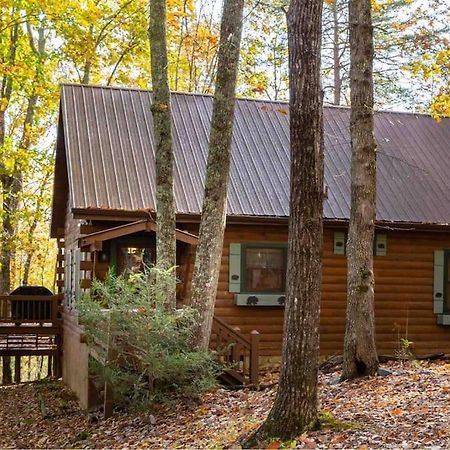 Mountain Time Cabin, Hot Tub, Fire Pit, Fireplace Villa Blue Ridge Exterior photo