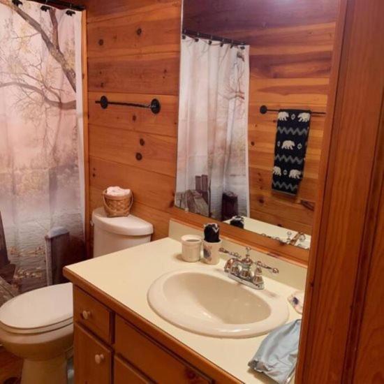 Mountain Time Cabin, Hot Tub, Fire Pit, Fireplace Villa Blue Ridge Exterior photo